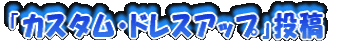 �J�X�^���E�h���X�A�b�v
