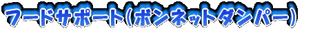 �t�[�h�T�|�[�g(�{���l�b�g�_���p�[)
