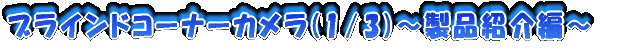 �u���C���h�R�[�i�[�J����(1/3)�`���i�Љ�ҁ`